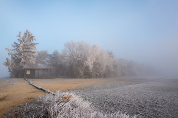 winter landscape with snowy trees and blue sky