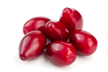 Red berries of cornel or dogwood isolated on white background