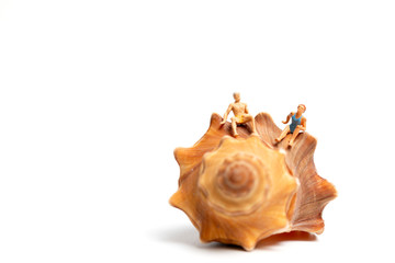 Miniature people  wearing swimsuit relaxing on  seashells  on white background , Valentine's Day concept
