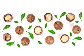 Shelled and unshelled macadamia nuts with leaves isolated on white background with copy space for...