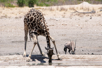 2018-10 Namibia