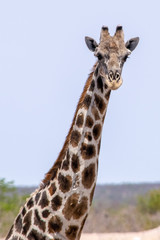 2018-10 Namibia
