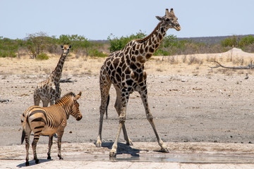 2018-10 Namibia