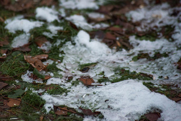 Grass and dirty melted snow