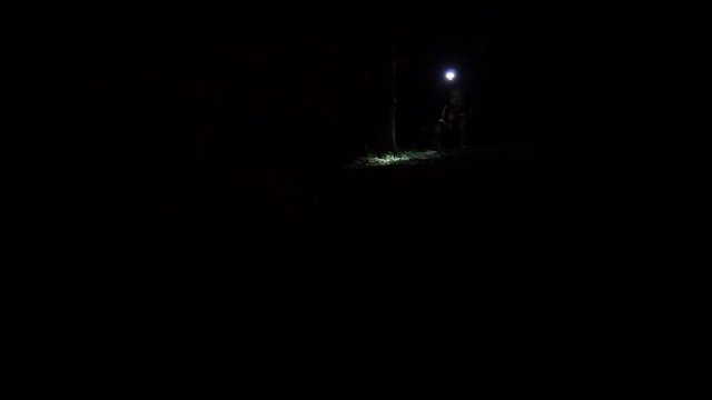 Uomo cammina nella foresta di notte