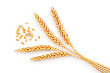 grain and ears of wheat isolated on white background. Top view