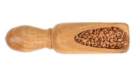 Fenugreek seeds in wooden scoop isolated on white background top view