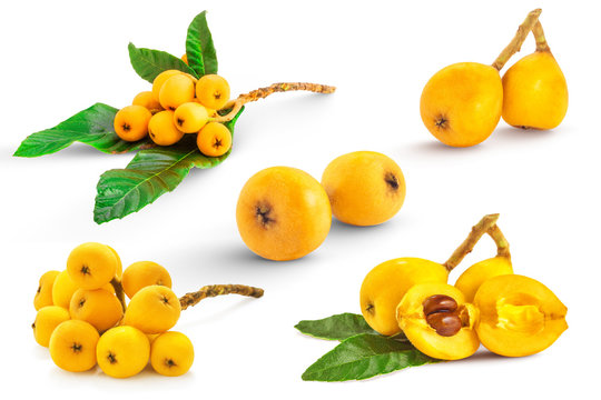 Set of ripe japanese loquat also called Bibasse with and without leaves isolated on white background 