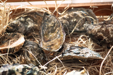 Oysters in a wooden box.