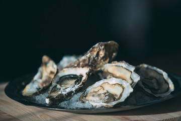 Oysters on the plate.