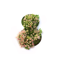Cut out number 8 (eight) with growing plant inside. Part of the alphabet.