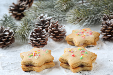 Close up of three traditional bulgarian star shaped, double honey cookies Medenki, with jam filling and colorful sugar sprinkles decorated with snow like powdered sugar, pine cones and twigs