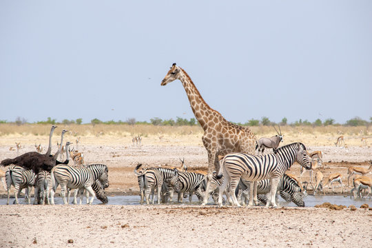 2018-10 Namibia