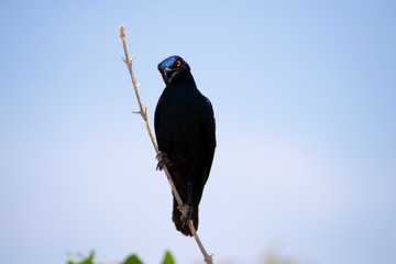2018-10 Namibia