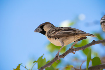 2018-10 Namibia