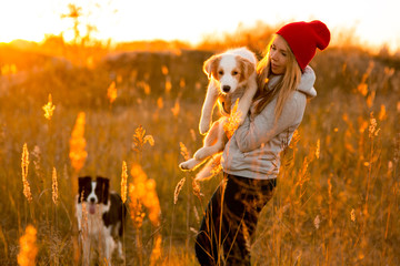 laugh girl with two cool border collie dog puppy on hands in green field. sky sunset on background