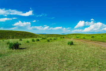 Fototapeta premium landscape with green field and blue sky