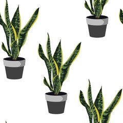 Sansevieria in pot seamless pattern. Houseplant in pots. Green natural decor for home and interior. White background.