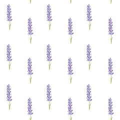 Seamless pattern with lavender