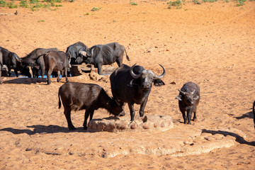 2018-10 Namibia