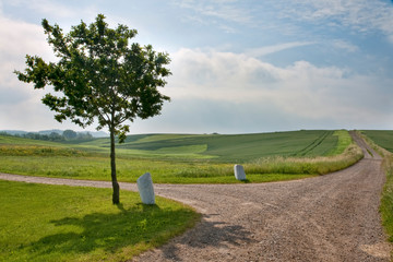 Dirt Road in the Fields