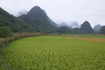 Karst mountains and limestone peaks of Yulong River, Yangshuo, Guilin, China,