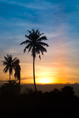 Golden tropical sunset with silhouette palm trees