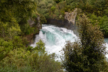 Fototapeta na wymiar Huka falls and New Zealand forest 