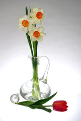 Three daffodils in a glass decanter