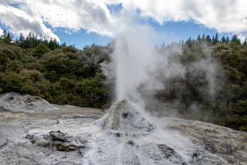 New Zealand Geyser, Lady Knox daily eruption 