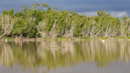 The scenics of Eco Pond in Everglades National Park.