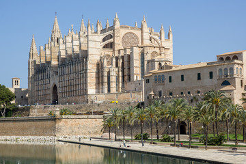 Fototapeta premium Catedral de Palma de Mallorca con un estanque y palmeras