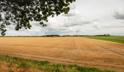 Fototapeta premium Wheat stubble field after harvesting