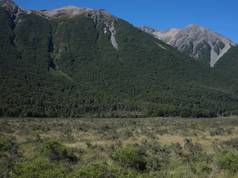 Views From TranzAlpine Train