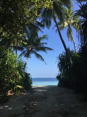 Panoramic view with palms and ocean in Maldives (Ari Atoll)