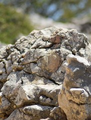 Croatia, Kroatische Baska