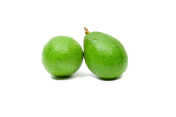 Fresh Avocado Fruit