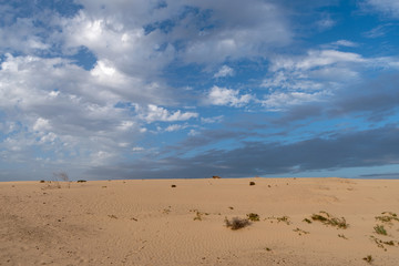 Corralejo Dunes Natural Park, Fuerteventura, Spain