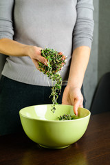 girl pours radish seeds in a plate, microgreen