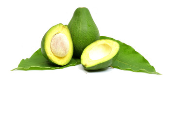 Fresh Avocado Fruit