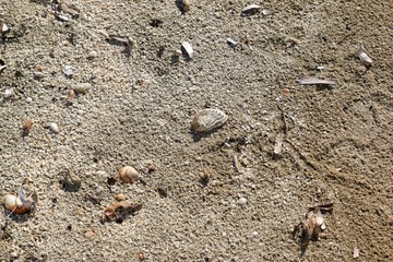 sea ​​sand texture