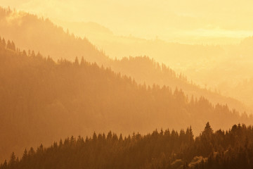 Mountains covered with woods in the early morning light