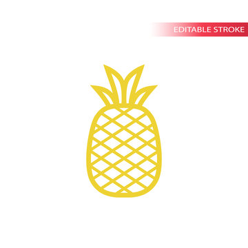Pineapple simple line icon in color. Outline pineapple vector icon. Fully editable.