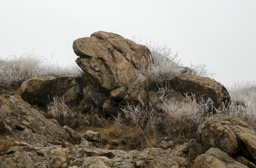 brown stone looks like a bear