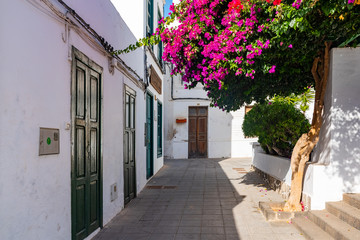 Beautiful typical white houses in Haria with purple flowers, Lanzarote, Canary Islands, Spain