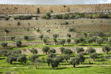 An ancient wall from the time of the second temple.
