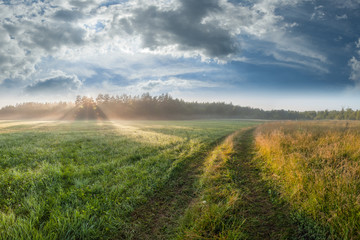 Landscape with Road and Meadows