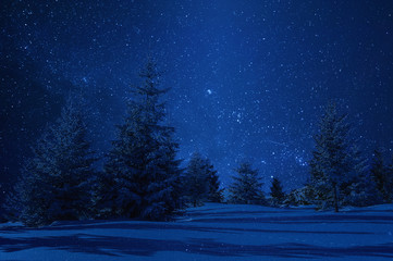 Night winter landscape and stars