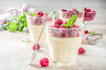 Homemade summer sweet dessert in glass, panna cotta with raspberry, diet light snack, light stone concrete background copy space