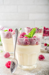 Homemade summer sweet dessert in glass, panna cotta with raspberry, diet light snack, light stone concrete background copy space